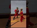 Download Lagu Fightschool Tapak Suci Almere
