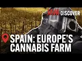 Download Lagu Spain's Marijuana Crisis: The Rise of Spain's Drug Smuggling Networks | Full Documentary