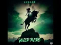 Wild Ride - Kng Ego