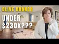 Under 230 000 in Olive Branch Mississippi Full Tour Move-In Ready Single Level