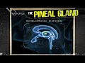 The Pineal Gland extremely detailed explanation