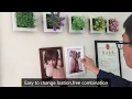 Wall mounted removable magnetic photo frame