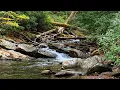 Relaxing Creek Sounds Great Smoky Mountains