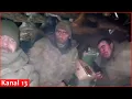 Lagu “We are in a foxhole” Russian soldiers hiding from Ukrainian drones ask for help
