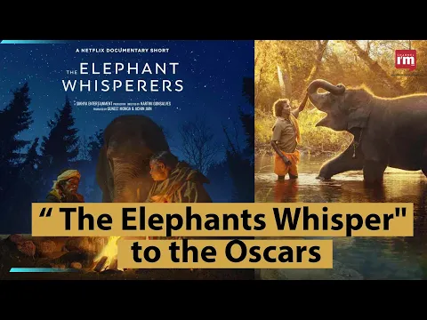 The Elephants Whisper will compete for best documentary short film