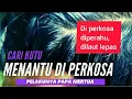 Lagu Bapak Perkosa menantu di atas Perahu|Nur AllOne