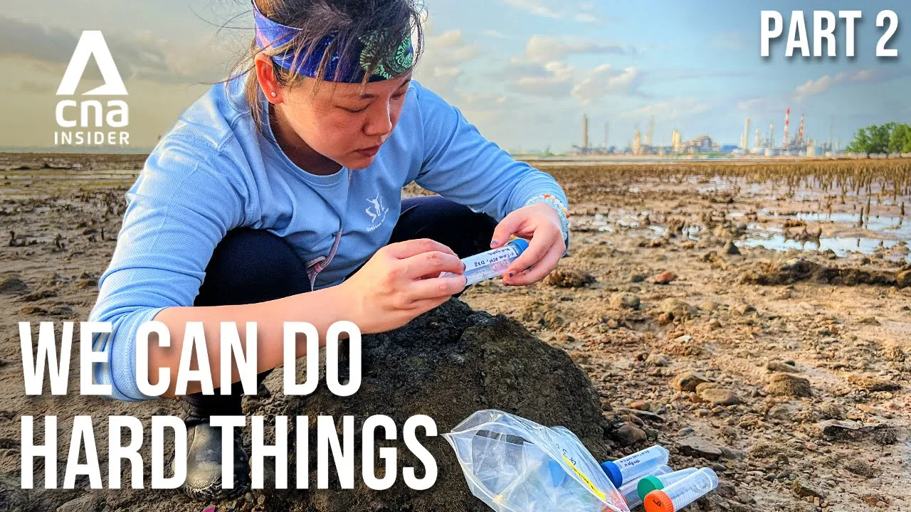 These Scientists Protect Marine Creatures Living On Singapore's Shorelines | We Can Do Hard Things