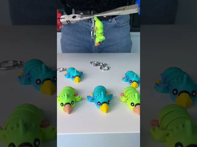 Cute Flexi Parrot (Toy, Keychain & Magnet), Fun Articulated Toy video thumbnail