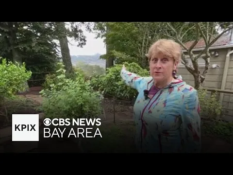 Berkeley enacts strict rules on wildfire defensible space around homes