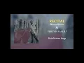 Sercan Halili - DEIN BLAUES AUGE - BRHAMS