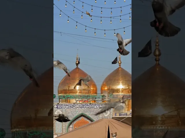 ⁣من وصايا الامام موسى بن جعفر الكاظم عليه السلام لهشام بن الحكم #الشيخ_شبر_معله