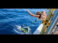 Oregon Inlet Tile Dolphin 2026