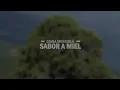Sabor a Miel - Diana Mendiola (Letra) Música Cristiana