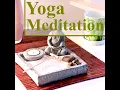 Spa Music and Relaxing Sounds - Light Music Guru