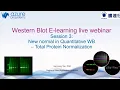 E-learning Webinar Session 3 New Normal in Quantitative Western Blot Total Protein Normalization