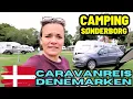 Download Lagu #501 DIT DOE JE GEWOON NIET OP DE CAMPING I Camping Sønderborg Denemarken