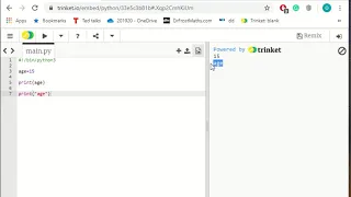 Storing Variables Python