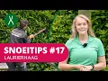 SnoeiTips #17 | Hoe snoei je een laurierhaag?
