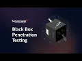 Practical Black box Penetration Test - Live Hacking an Entire Network