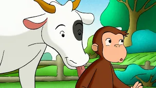 Operación: ¡Mantener a las vacas afuera! | Episodios Completos | Jorge El Curioso En Español