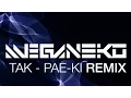 Download Lagu TAK - PAE-KI (meganeko Remix)