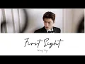 Download Lagu First Sight LYRICS/CHN/PYN/ENG