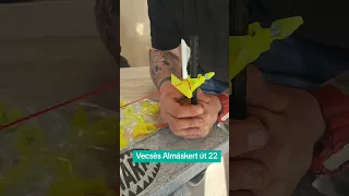 Shark szintező a Doki Stone Centerben 