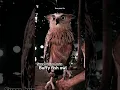 Download Lagu Suara burung hantu ❗ Buffy fish owl beda dengan yang lain #horror #creepy  #burunghantulucu