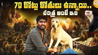 70 Crores Monkeys ఉన్నాయి..😲 | Free Diamonds 💎| చరిత్ర అంటే ఇది..🙏 @upendragani 