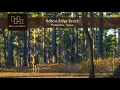 Texas Ranch For Sale - Bobcat Ridge Ranch