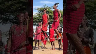 How High Can You Jump Maasai Jumping Kenya Africa 