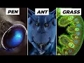 Objects Under Electron Microscope Part-1