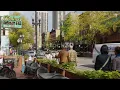 O Brien s Restaurant And Bar In Chicago USA
