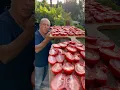 Lagu Is there anything better than sun-dried tomatoes?🍅🤷🏽‍♂️  @gennarocontaldo shows us how it’s done