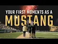 Life at Cal Poly Your First Week On Campus