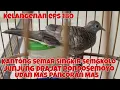 Download Lagu Kantong Semar Singkir Sengkolo Udan Mas Junjung Drajat Rondosemoyo Kelangenan eps 180
