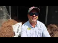 Pine Straw or Mulch