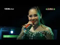 Download Lagu UNYU UNYU NUNG UL QISMA VIONA MUSIC LIVE CIBINGBIN   30 June 2024
