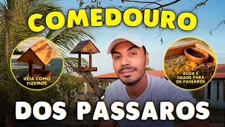 COMEDOURO DOS PASSARINHOS