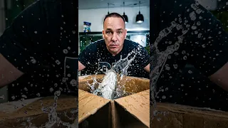 Unboxing the world's most dangerous fish