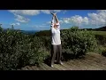 Download Lagu Qigong - 8 Brocade  - Ba Juan Jin