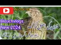 Lagu Best karik /new karik2024/batair hunting/subscribe my channel Blouchvlogs