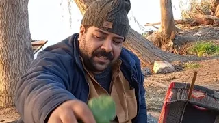 الفلاحين تحضر هنا طرق طبخ الخبيزه 