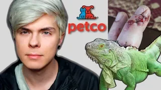 Why Chain Pet Stores Should STOP Selling Iguanas