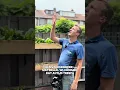 Download Lagu Achter deze Trespa-platen schuilt een valkuil.
