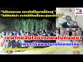 Download Lagu Thaise chef-kok sterft op straat in Cambodja nadat ziekenhuis weigert hem te behandelen; Cambodja...
