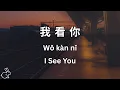 Lagu 我看你 - I see you | Learn Chinese Sentence Structure in a Song (Lyrics in Chinese, Pinyin \u0026 English)