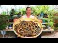 Download Lagu Fresh Hand-Shredded Eil Fried to Perfection! Looks Scary, Tastes AMAZING! | Uncle Rural Gourmet