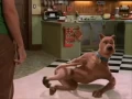 Scooby Doo Fart