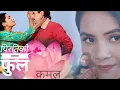 Download Lagu Piratiko Talma -  पिरतिको तालमा Gloomy Guys Band Banepa | Nepali All Time Hit Pop Song |